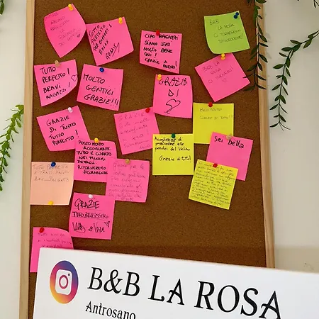 La Rosa * Antrosano